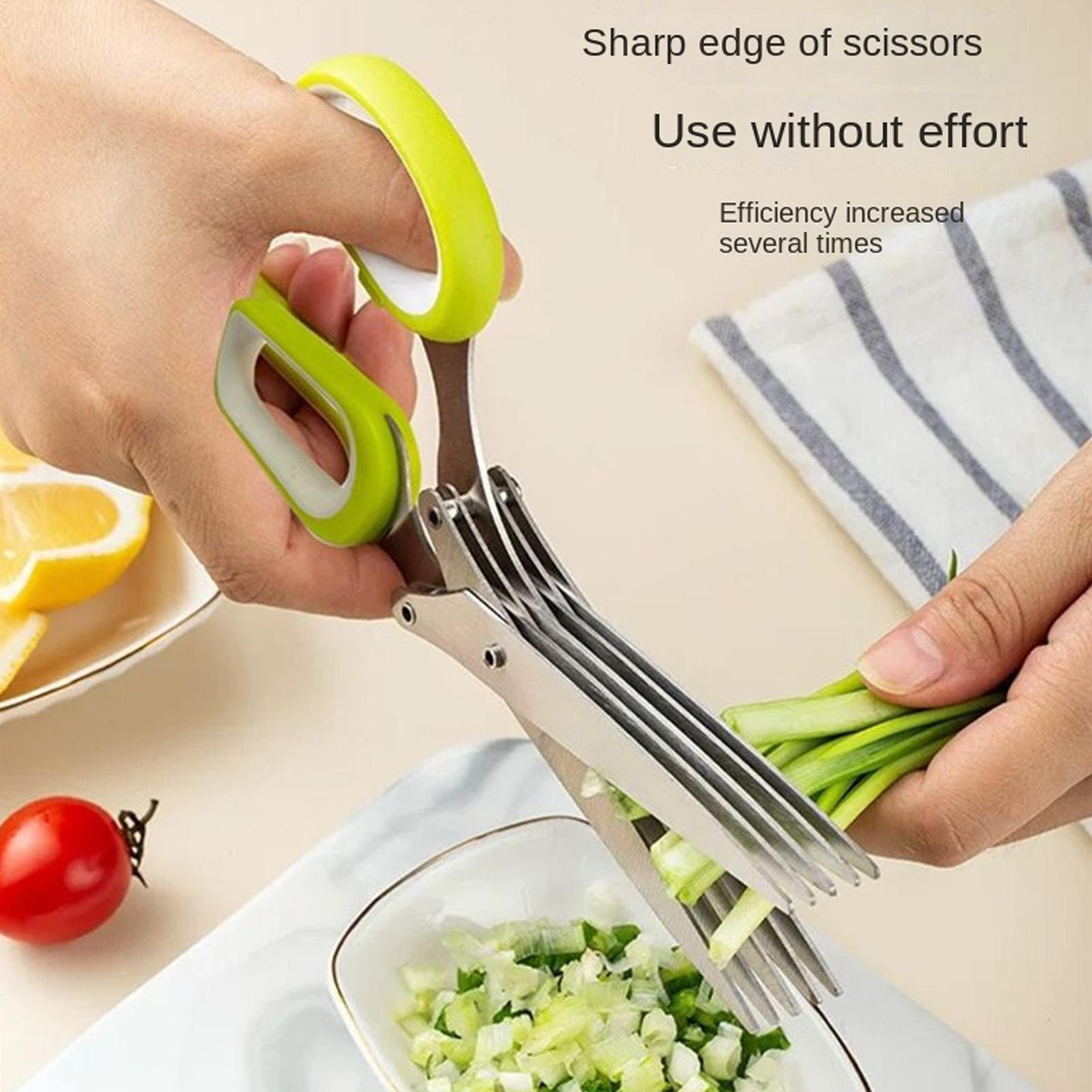 5 Bıçaklı Paslanmaz Çelik Mutf - Herb Scissors 5 Blade incelemesi ve fiyatı